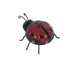 mariquita pequeña 10x10x5 cm